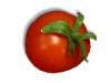 Captcha image 4844